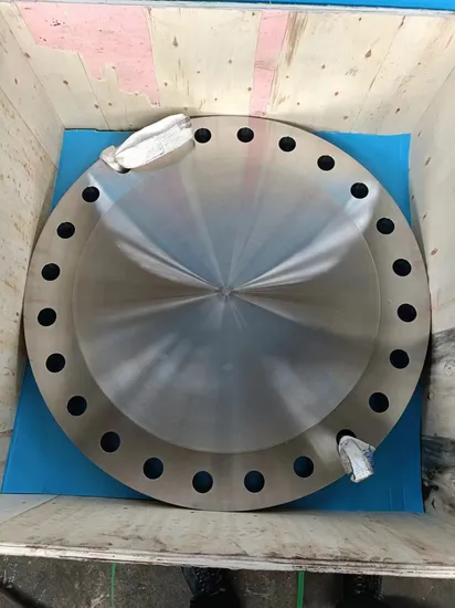 Carbon Steel Fittings Stainless Steel Flange for Petroleum Stainless Steel Flange
